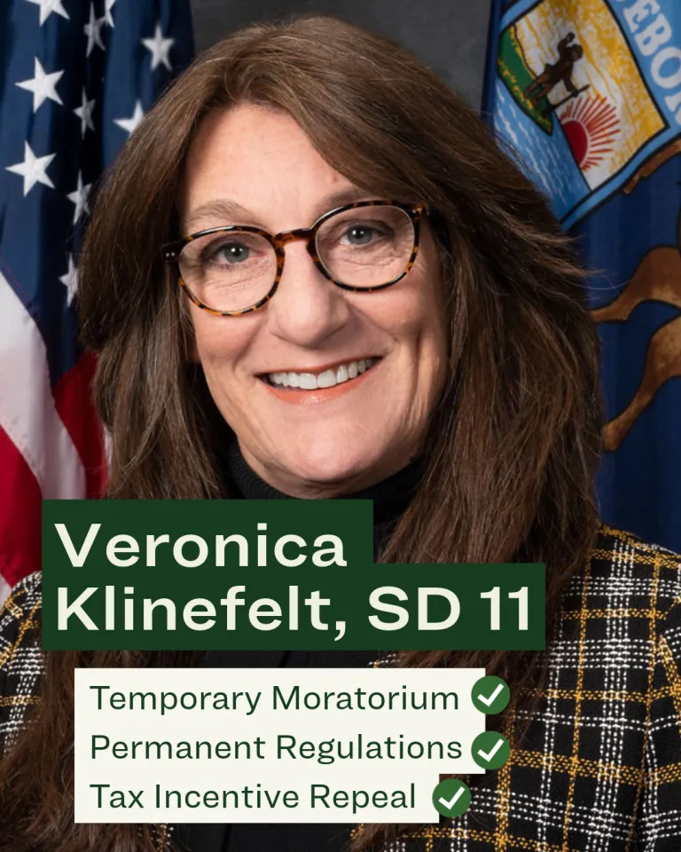 Veronica Klinefelt