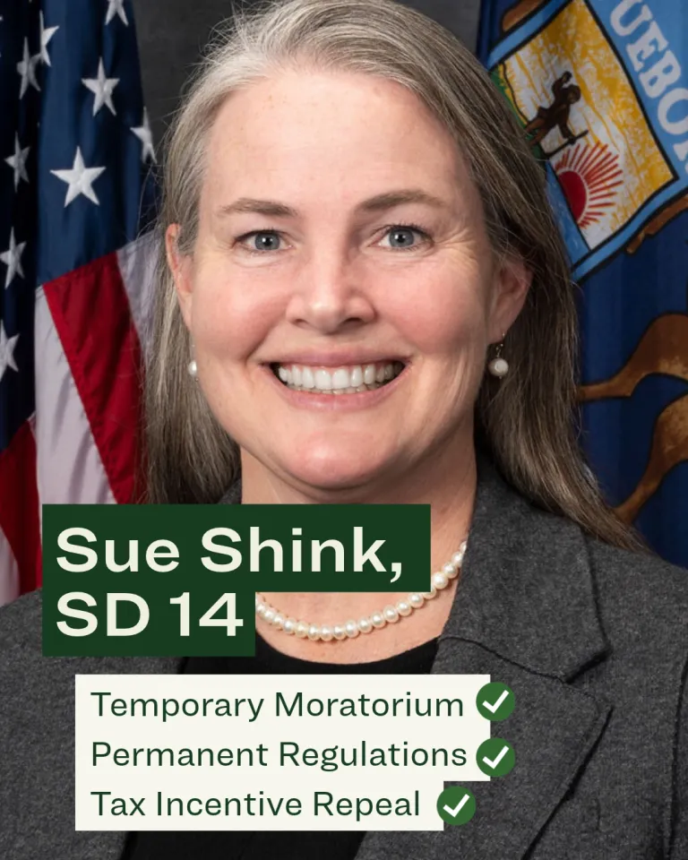 Sue Shink