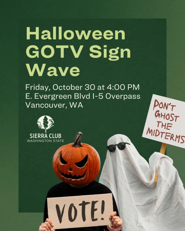 two people, one dressed in black sweater and carved jack-o-lantern head and a ghost hold signs that say "vote!" and "don't ghost the midterms" 
