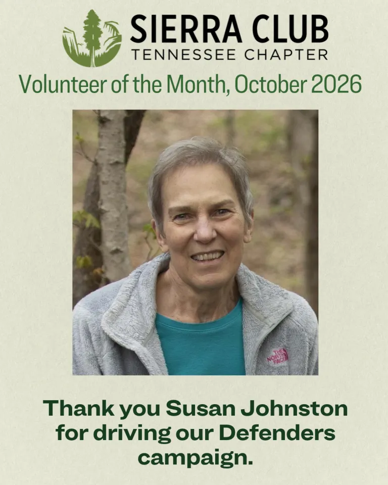 Susan Johnston