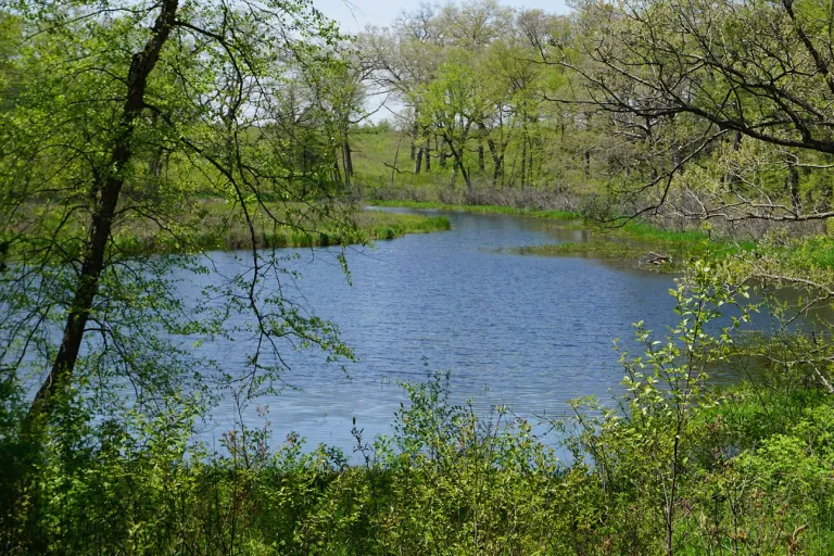 Ciha Fen, Johnson County, Iowa