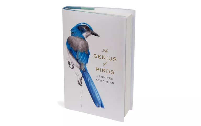 The Genius of Birds by Jennifer Ackerman