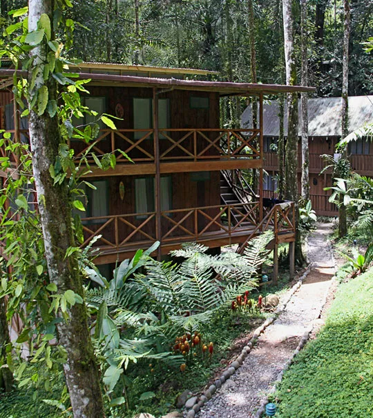 Courtesy of Rios Tropicales