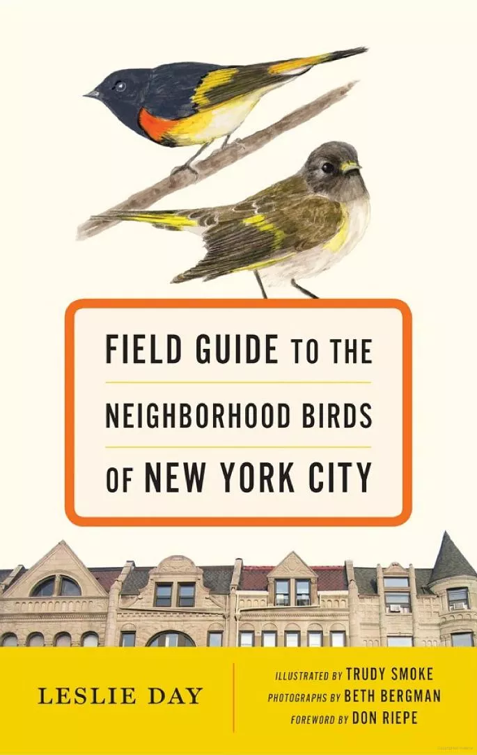 Field Guide to the Neighborhood Birds of New York City, by Leslie Day