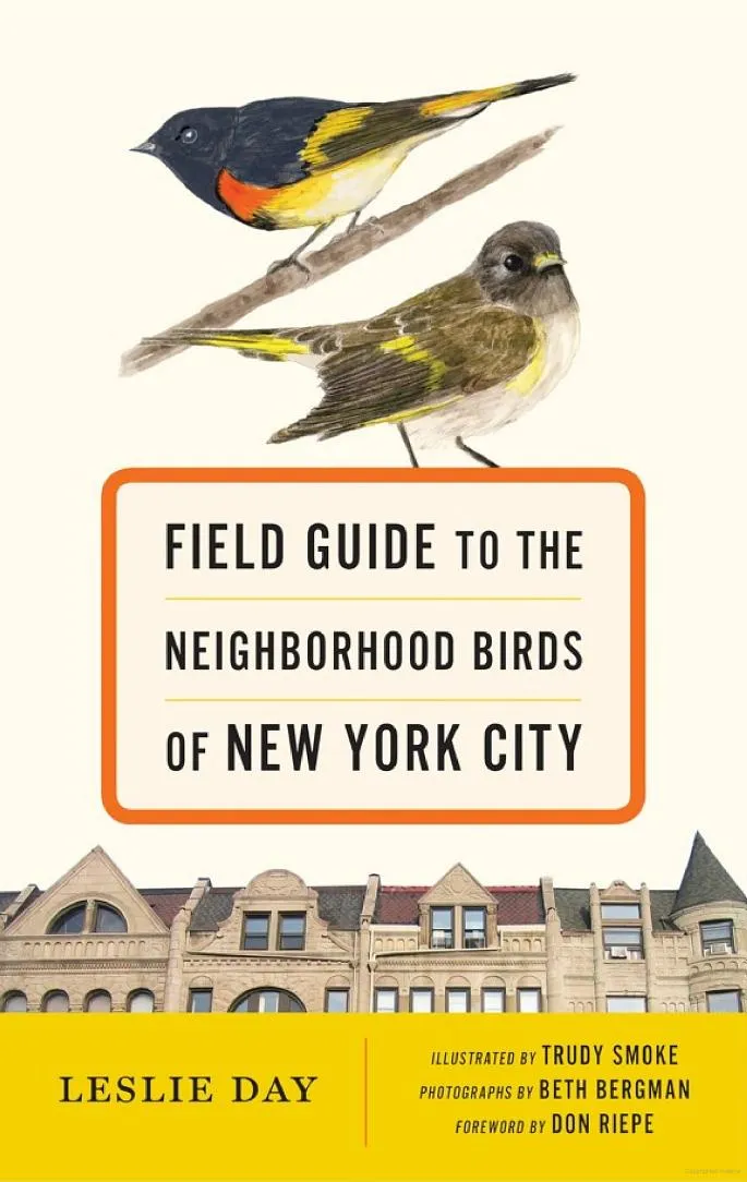 Field Guide to the Neighborhood Birds of New York City, by Leslie Day