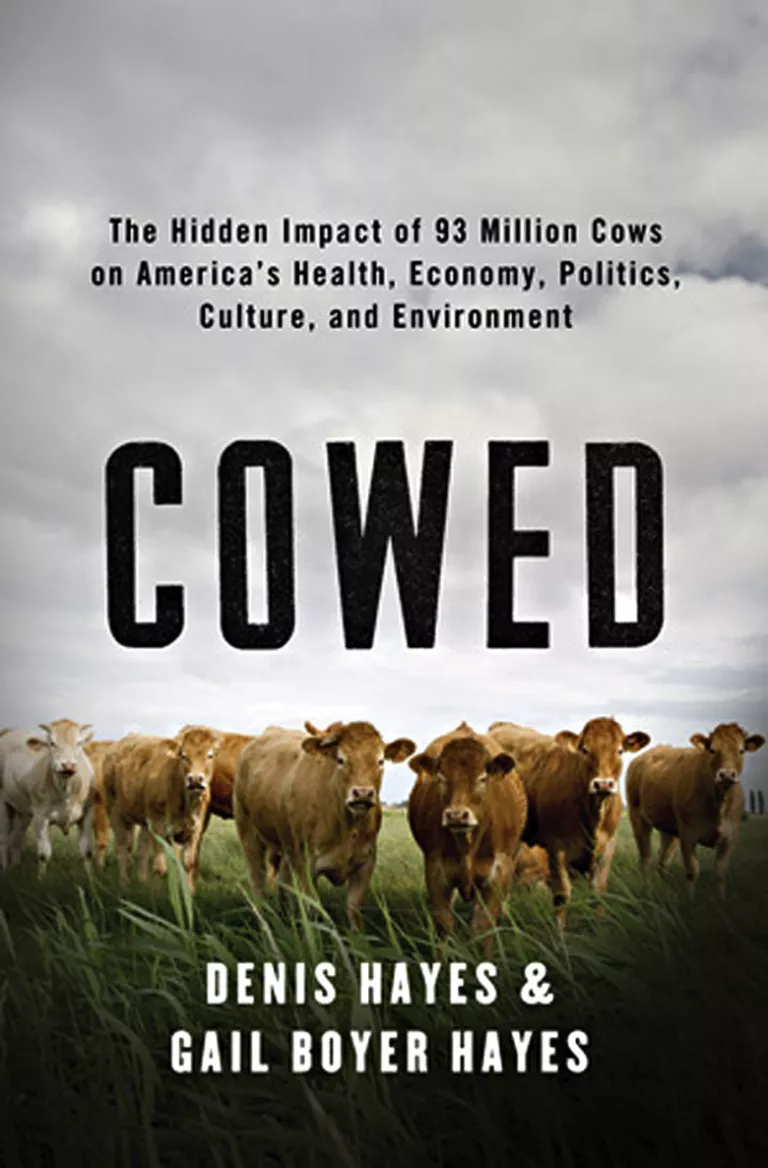 "Cowed" by Denis Hayes and Gail Boyer Hayes