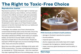 PFAS and Reproductive Health