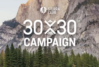 Cliffs in Yosemite with pine trees in the foreground with the Sierra Club logo and words 30x30 Campaign overlaid.