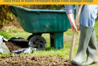 Sludge in the Garden: Toxic PFAS in Home Fertilizers Made From Sewage Sludge