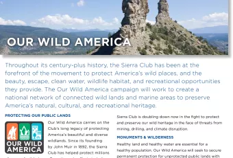 Our Wild America Factsheet