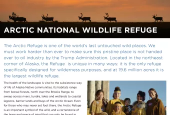 Arctic National Wildlife Refuge Factsheet