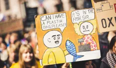 Protest sign Can I have a plastik bag, please - It's in the fish, sir