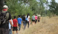 hiking