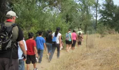 hiking