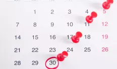 calendar page with red pushpins
