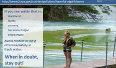 Clean Water or Green Water