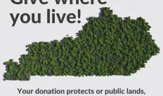 Grey text reading, "give where you live" in the top right corner.  Below an outline of Kentucky filled with tree canopy image