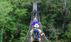 Swinging Bridge in Big South Fork National Recreation Area