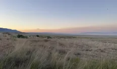 A sweeping grasslands vista at sunset