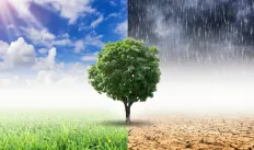 Climate resilience.png