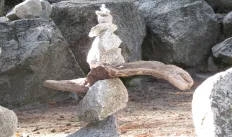 ExCom Thumbnail.jpg
