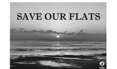 Save the flats.jpg