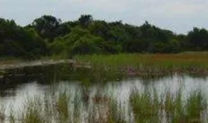 header option e 1120x214.jpg