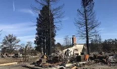 BurnAreas_th.jpg