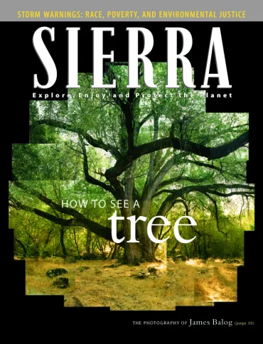 Sierra magazine November/December 2005