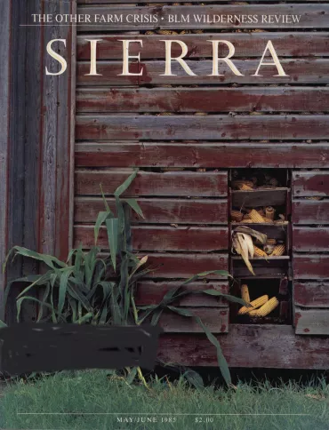 Sierra May/June 1985