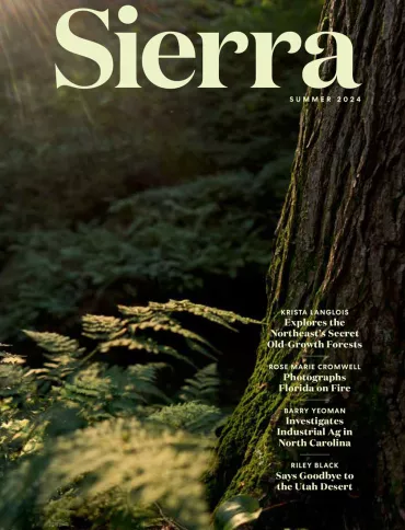 Summer 2024 Sierra Magazine