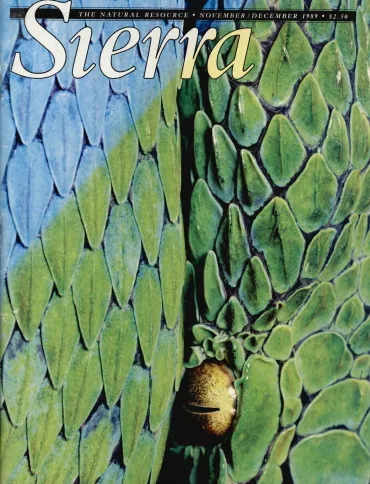 Sierra magazine November/December 1989