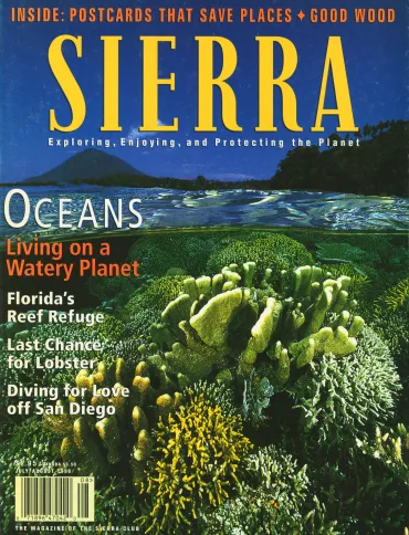 Sierra magazine July/August 1998