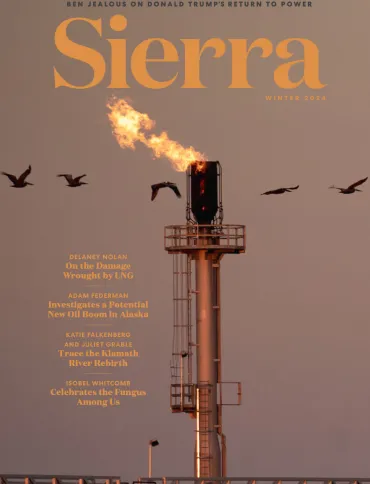 Sierra magazine Winter 2024