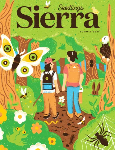 Summer 2026 Cover