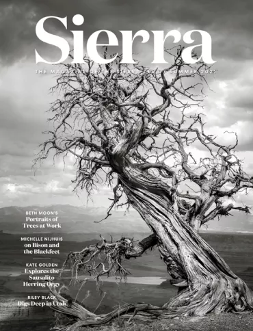 Summer 2021 Sierra magazine