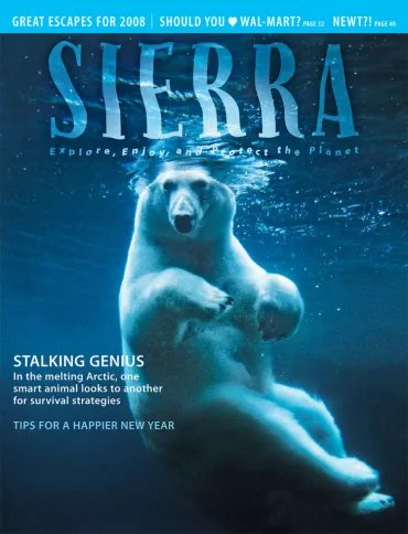 January/February 2008