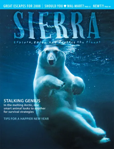 January/February 2008