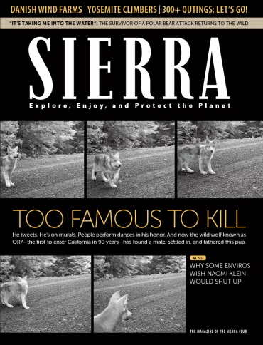 Sierra January/February 2015 cover