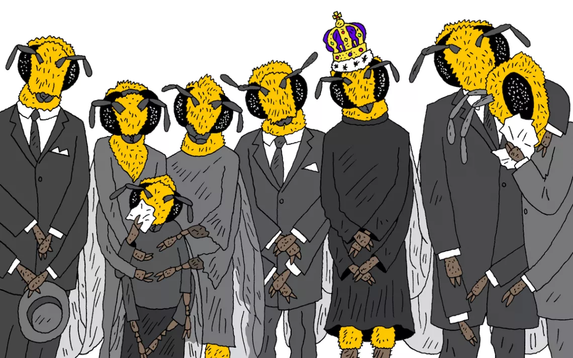 bees