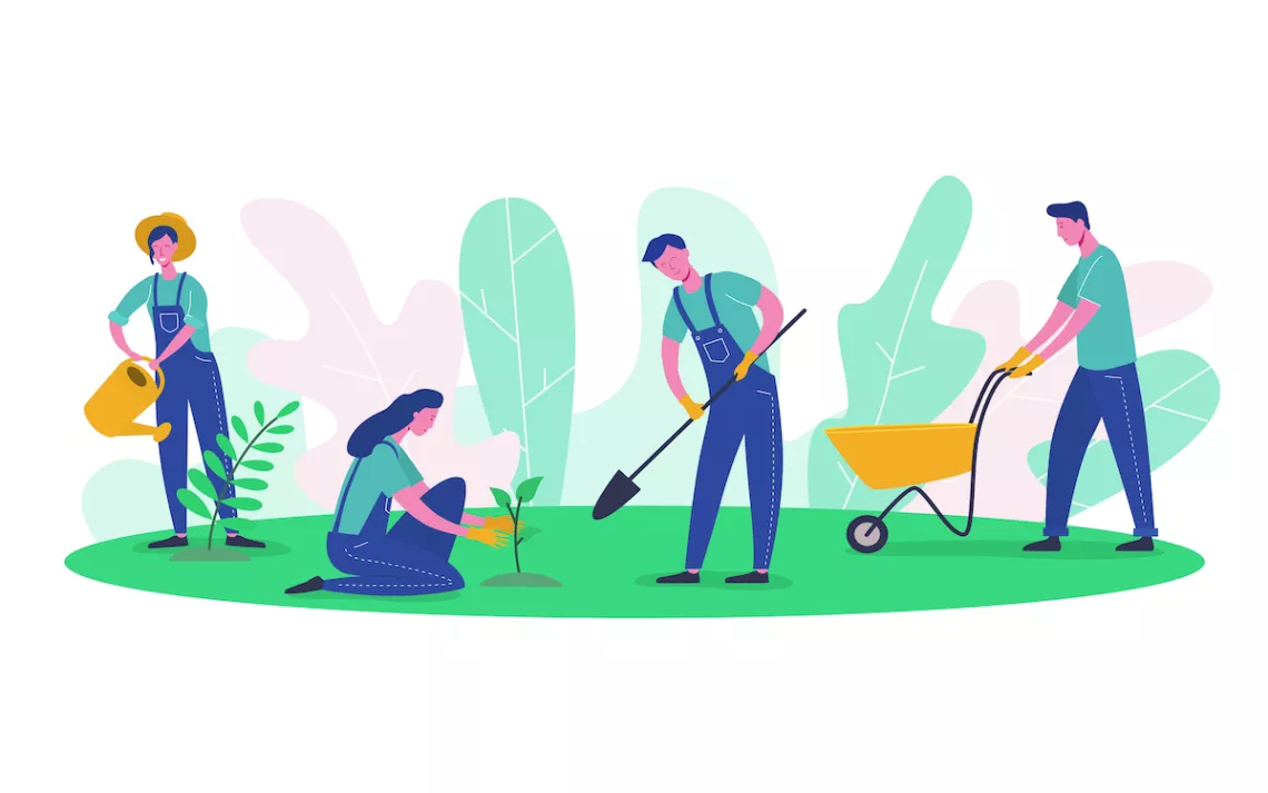 Four people use tools to work in a small, green garden