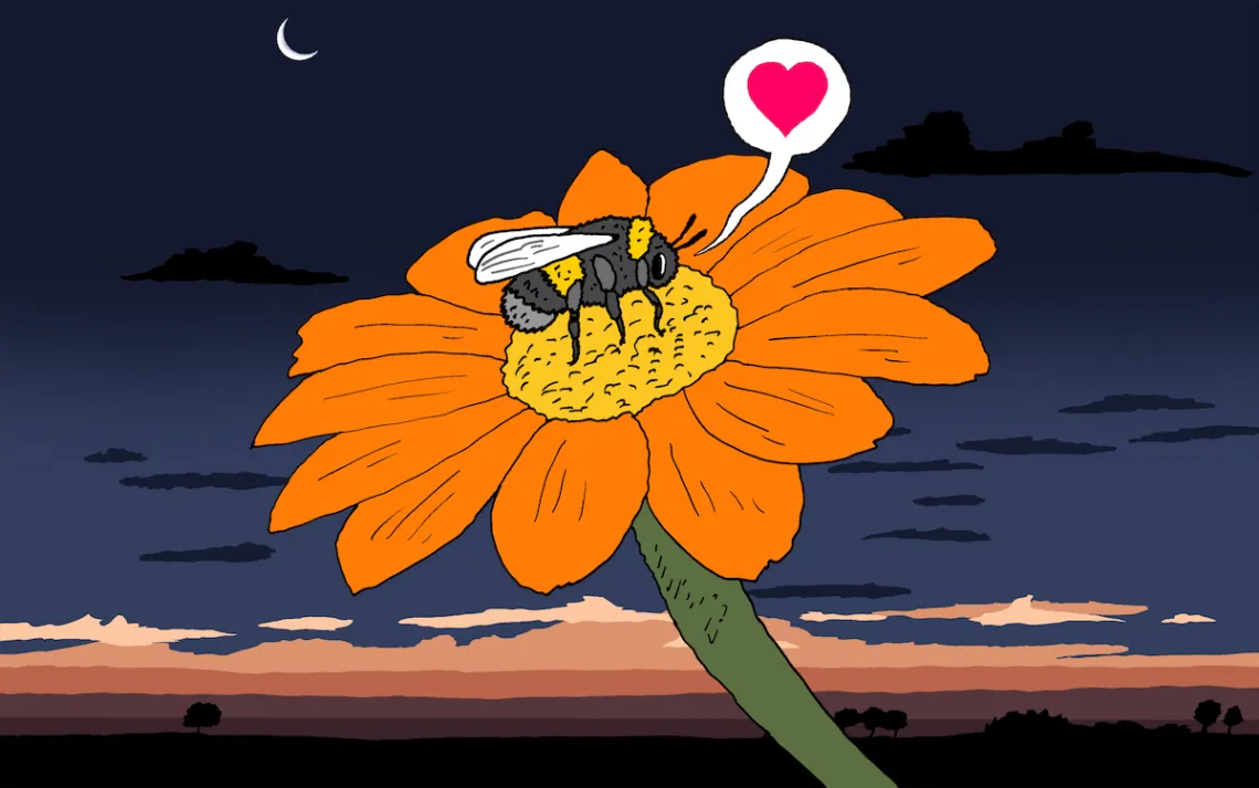 Bumbleebees