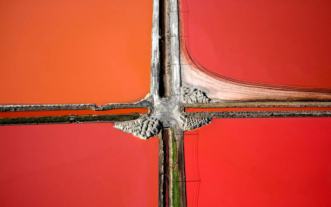 Halobacteria produce a red tinge in the South Bay’s saltiest ponds.