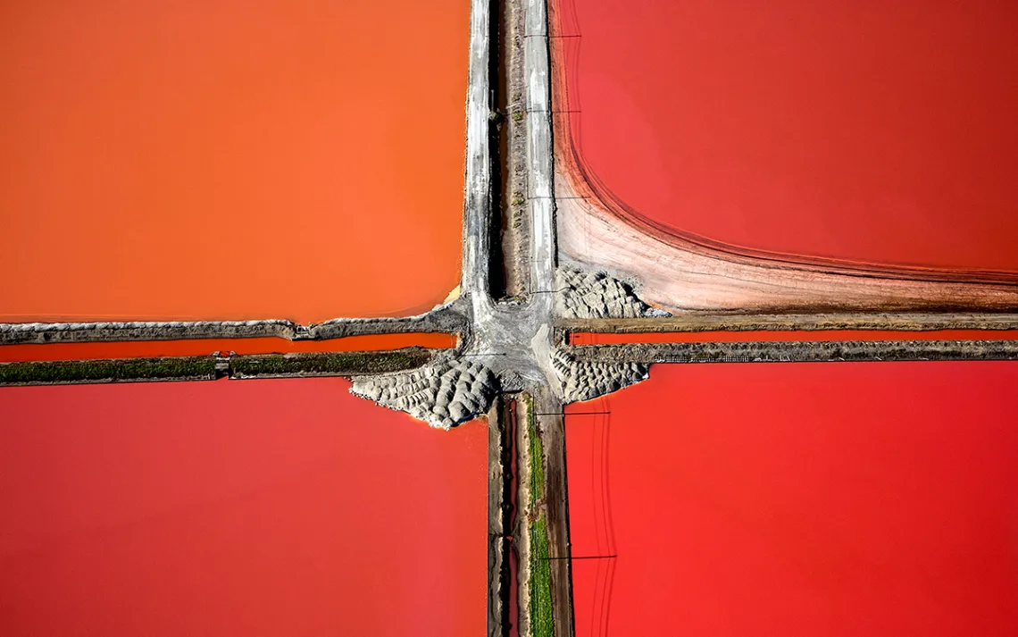 Halobacteria produce a red tinge in the South Bay’s saltiest ponds.