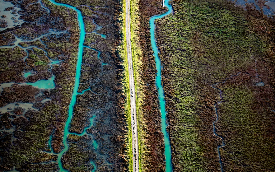 Two creeks run parallel to a levee through restored South Bay wetlands.
