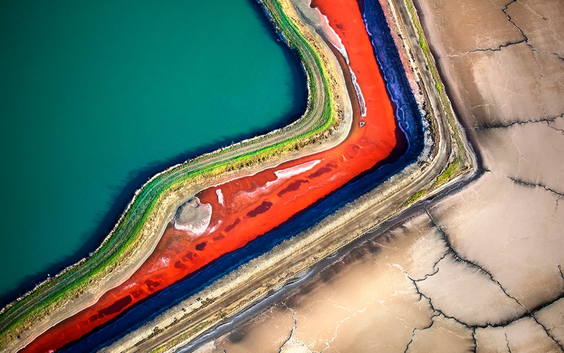 Along the coast of the South Bay, the soft curves of tidal wetlands often butt up against the straight lines of manmade levees.