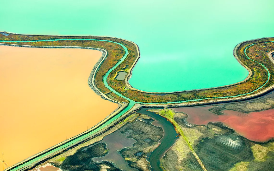 By 2050, sea levels along the West Coast are expected to rise between 4 and 8 inches.