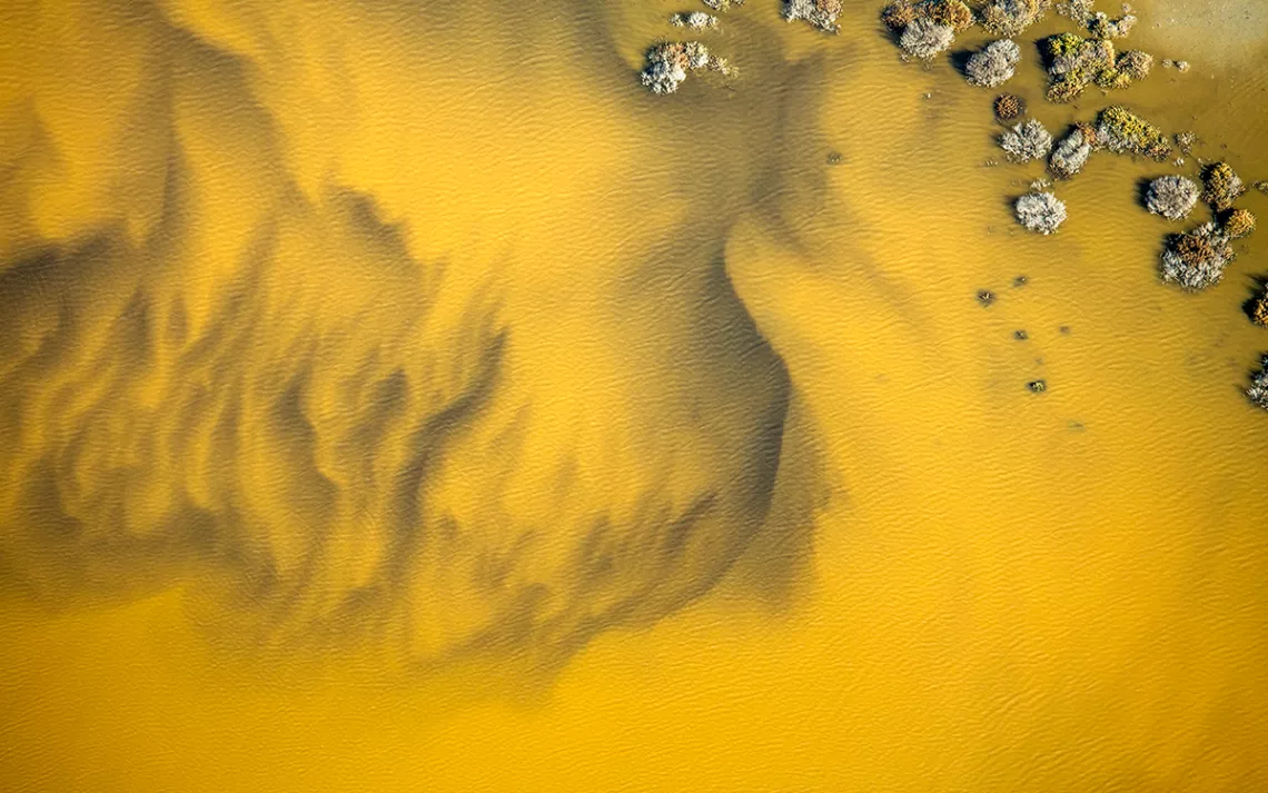 As the salinity of the South Bay’s salt ponds changes so too does the pigmented microorganisms that thrive in the brine, resulting in an array of striking colors.