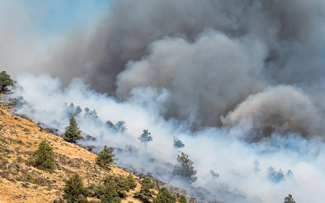 A wildfire burns in Oregon on the side of a mountain