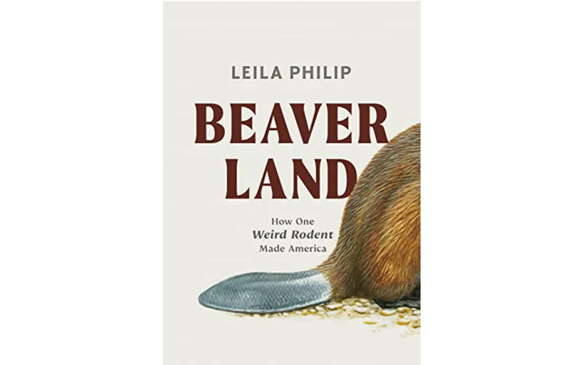 Beaverland